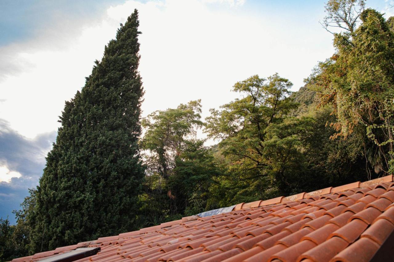 Villa Bertacchi - Inside And Out Como Exterior foto